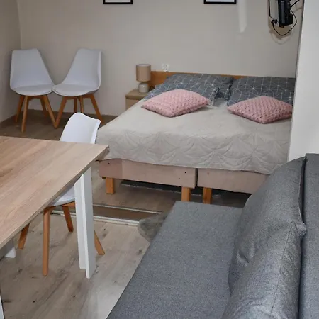 Goscinne Muszelka Guest house Leba