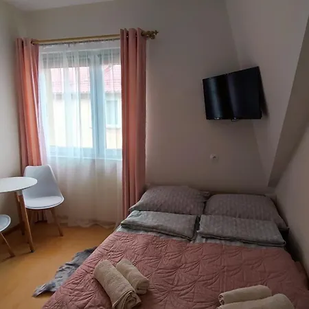 Goscinne Muszelka