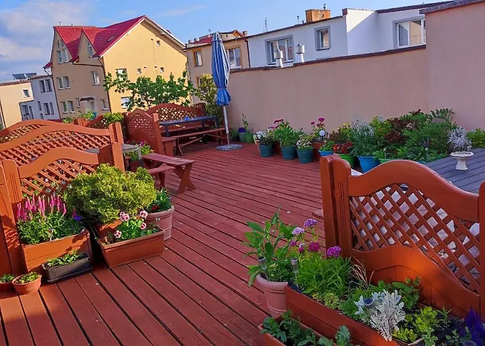 招待所 Goscinne Muszelka 莱鲍