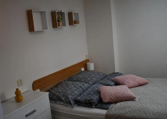 Goscinne Muszelka Łeba