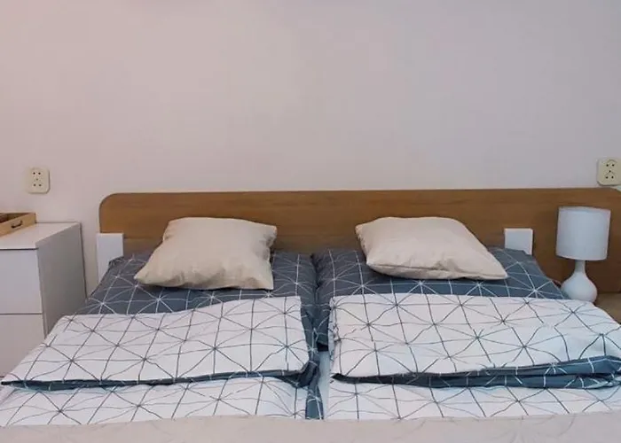 Goscinne Muszelka 招待所 莱鲍